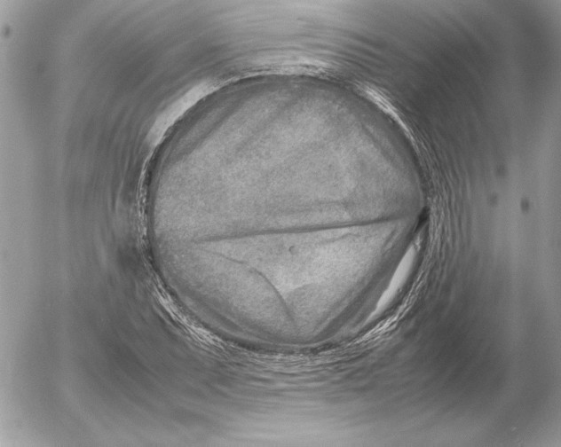X0000054451071200508191631