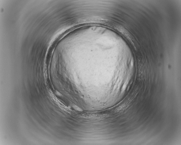X0000054451072200508191631
