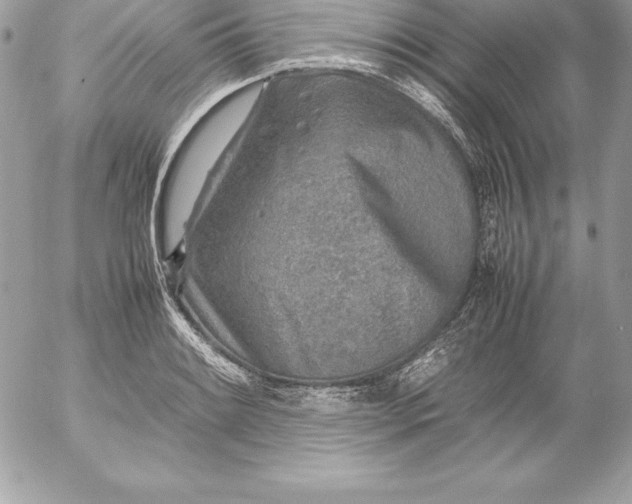 X0000054451084200508191631
