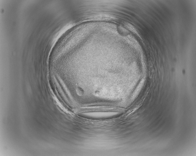 X0000054451087200508191630