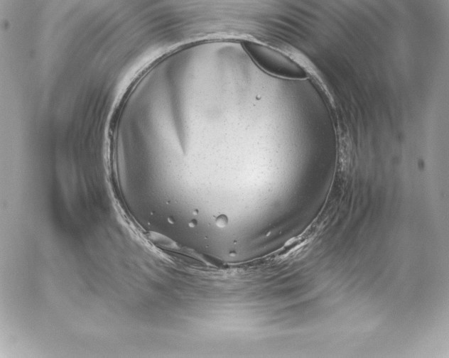 X0000054451096200508191630