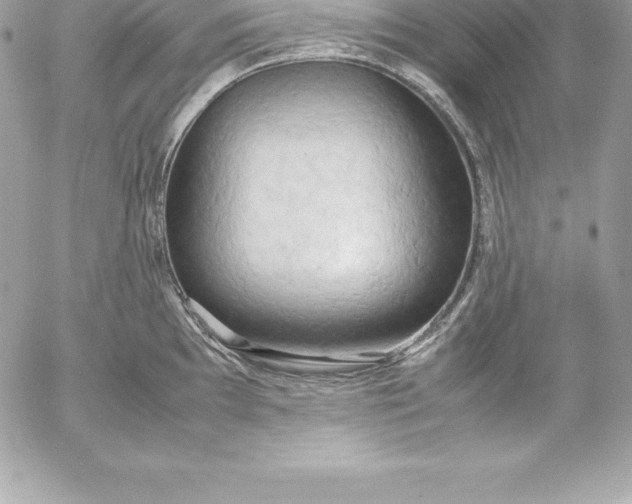 X0000054451097200508191630