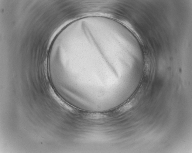 X0000054451100200508191630