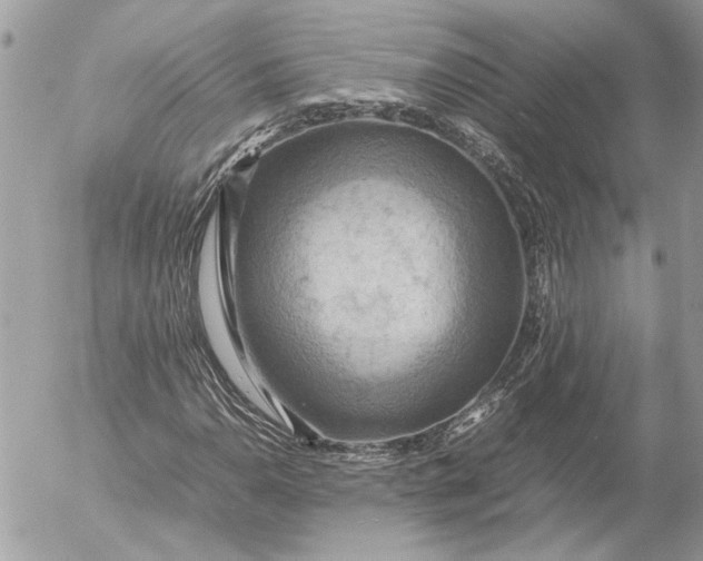X0000054451110200508191629