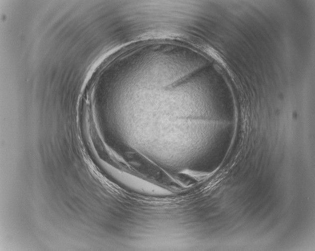 X0000054451124200508191630