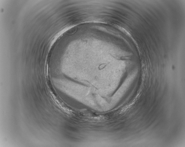 X0000054451125200508191630