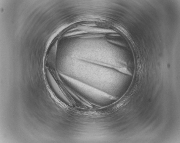 X0000054451128200508191630