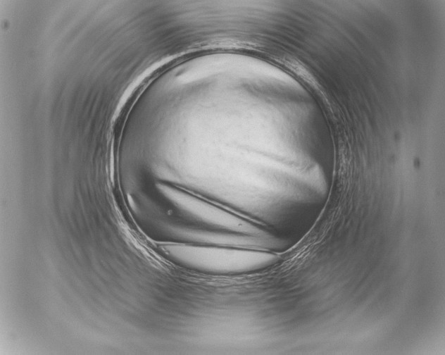 X0000054451132200508191630