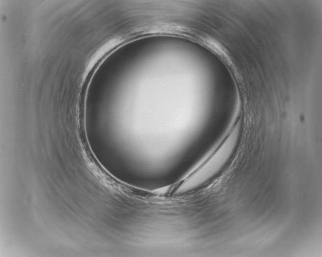 X0000054451138200508191630
