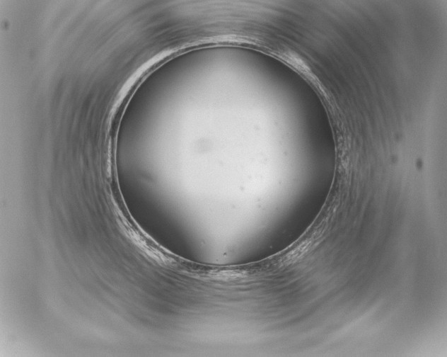 X0000054451140200508191630