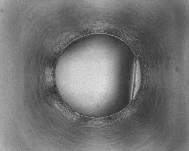 X0000054451156200508191629
