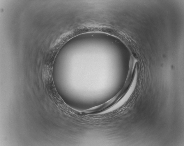 X0000054451157200508191629
