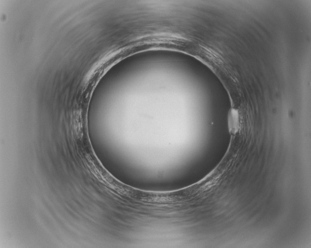 X0000054451164200508191629