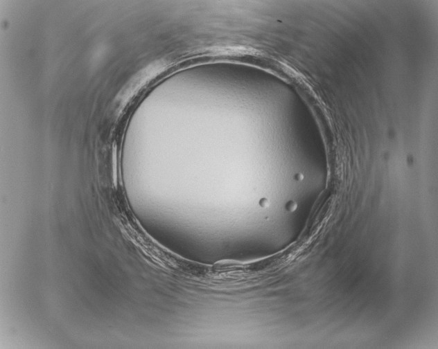 X0000054451171200508191629