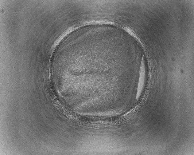 X0000054451173200508191629