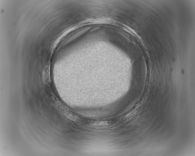 X0000054451174200508191629