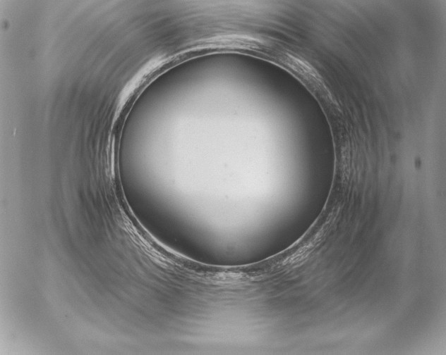 X0000054451180200508191629