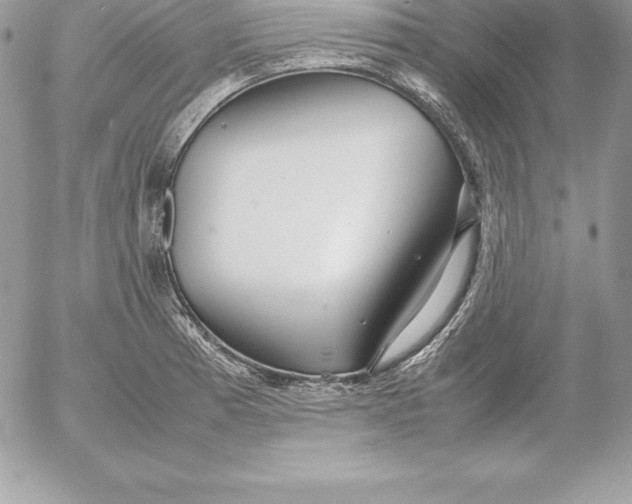 X0000054451185200508191629