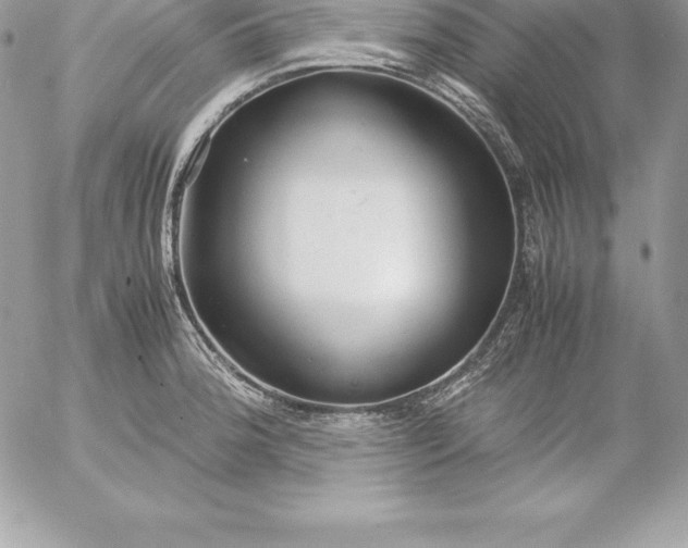 X0000054451188200508191629