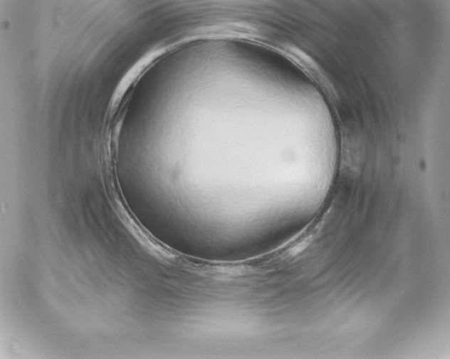 X0000054451196200508191629