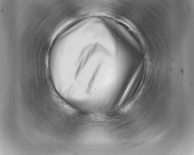X0000054451198200508191629