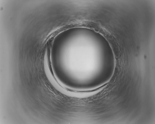 X0000054451206200508191628