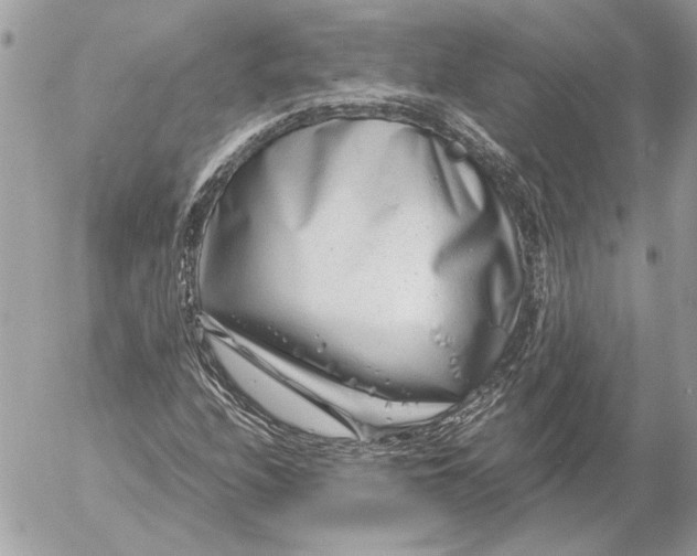 X0000054451208200508191628