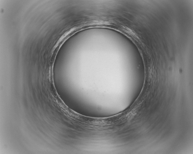 X0000054451220200508191628