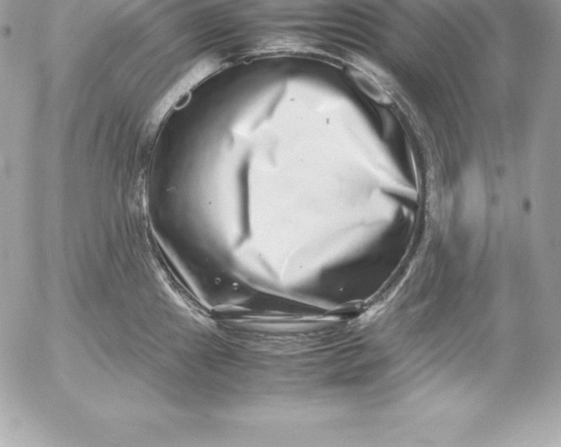 X0000054451241200508191628