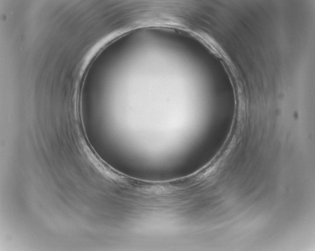 X0000054451246200508191628