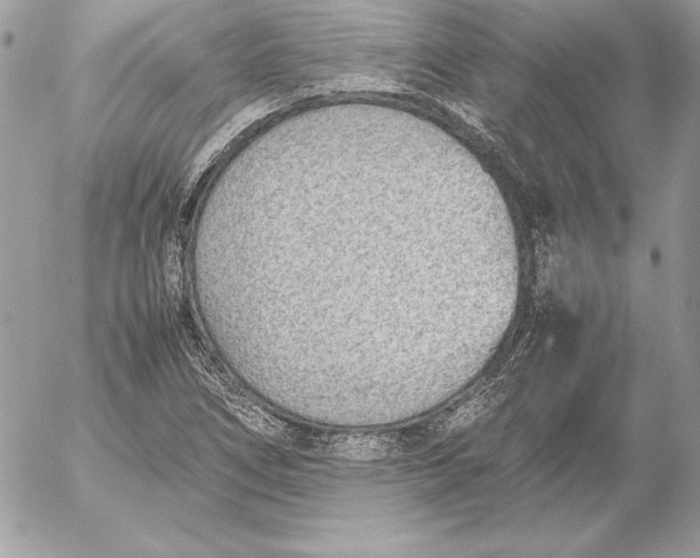 X0000054451266200508191627
