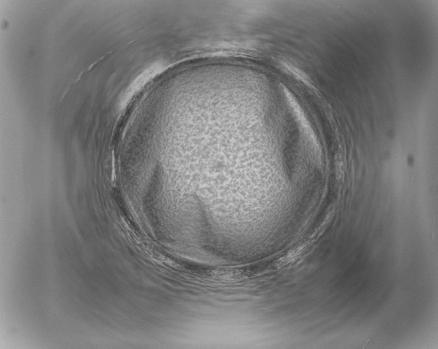 X0000054451267200508191627