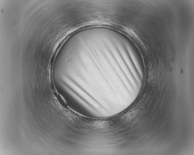 X0000054451268200508191627