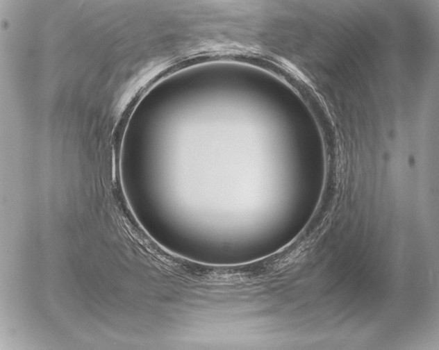 X0000054451269200508191627