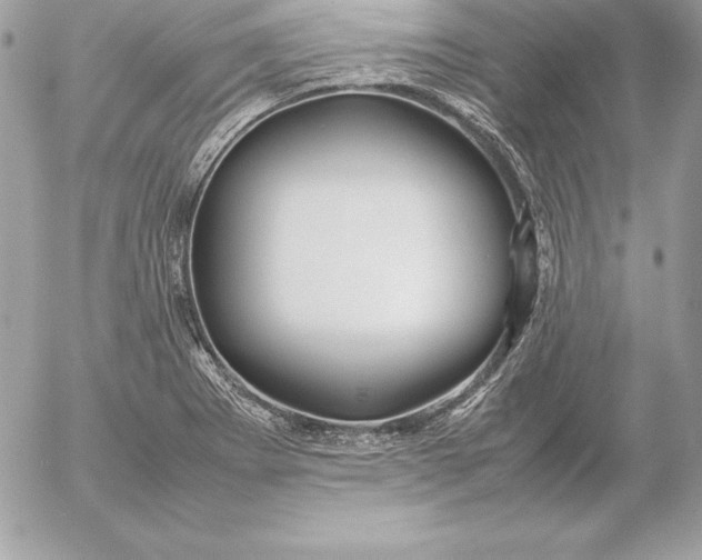X0000054451273200508191627