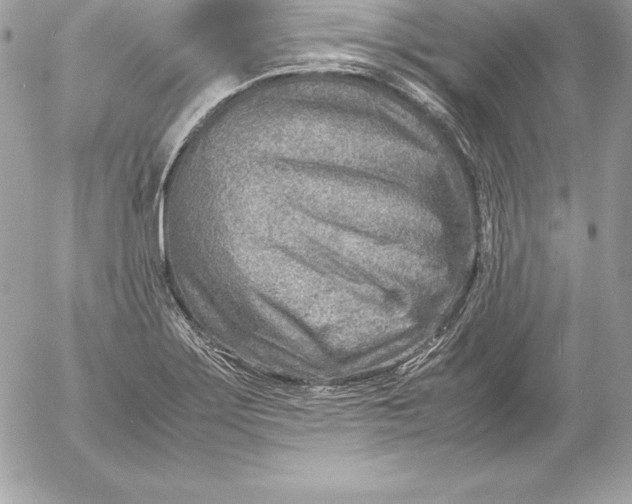 X0000054451275200508191627