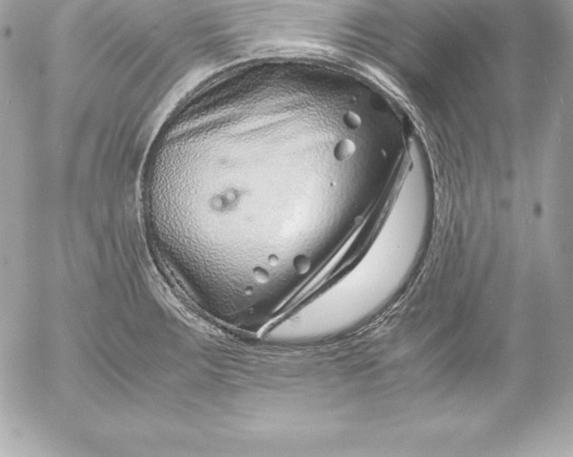 X0000054451283200508191627