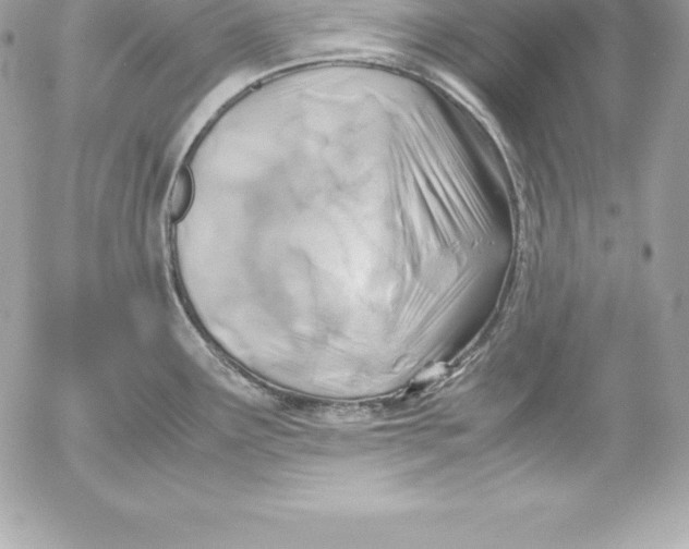 X0000054451291200508191627