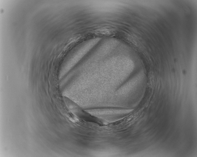 X0000054451297200508191626
