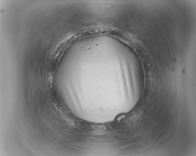 X0000054451302200508191626