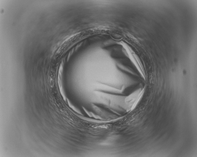X0000054451303200508191626