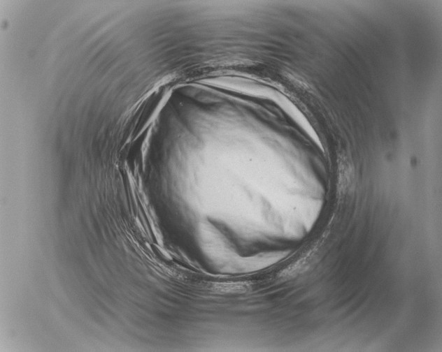 X0000054451305200508191626