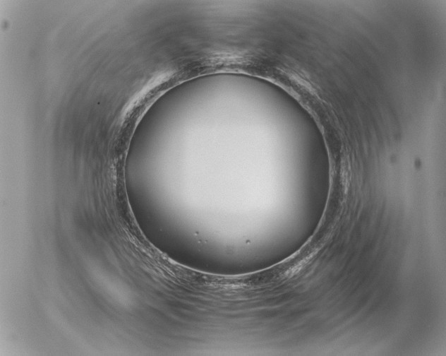 X0000054451309200508191626