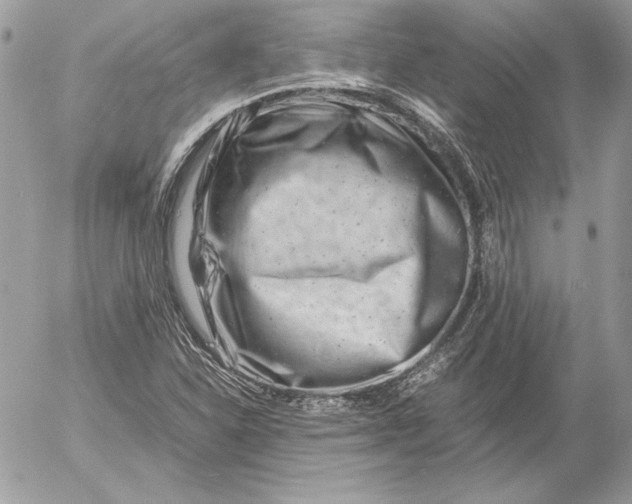 X0000054451310200508191626