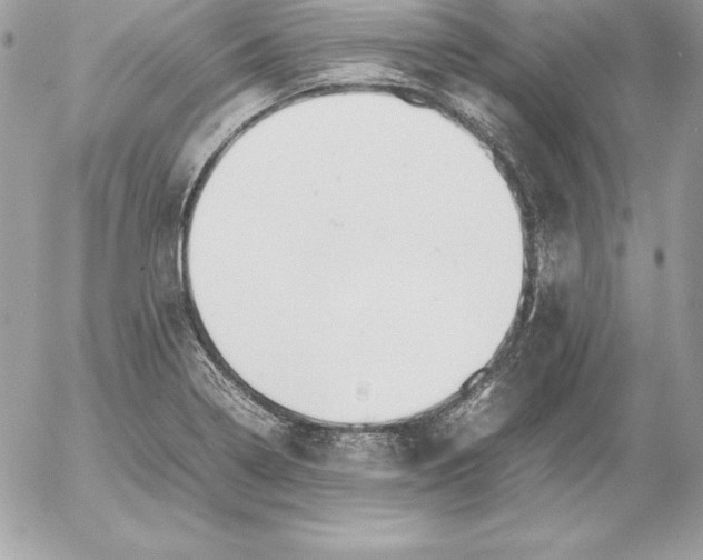 X0000054451322200508191627