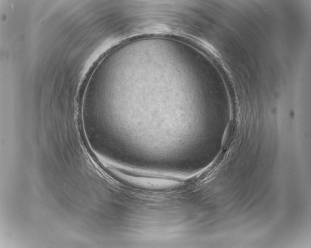 X0000054451326200508191627