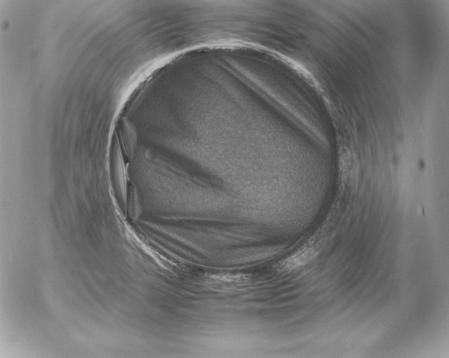 X0000054451327200508191627