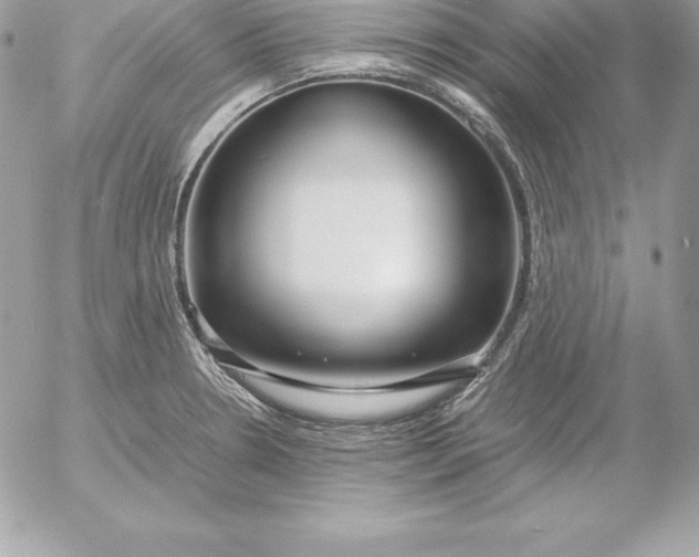 X0000054451330200508191627