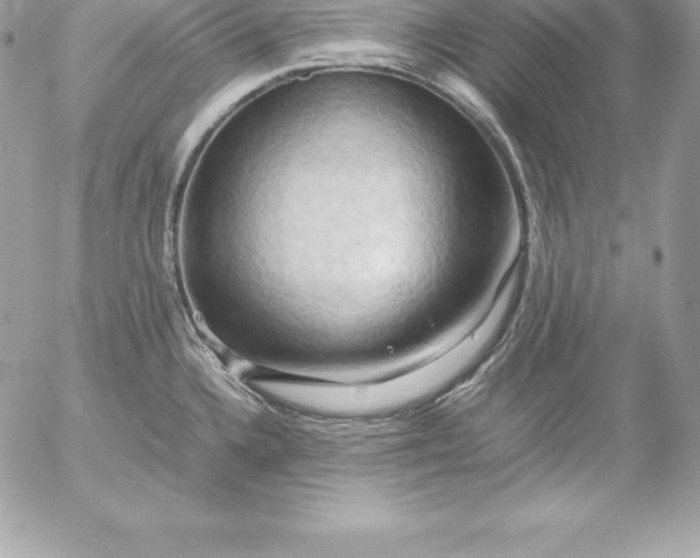 X0000054451336200508191627