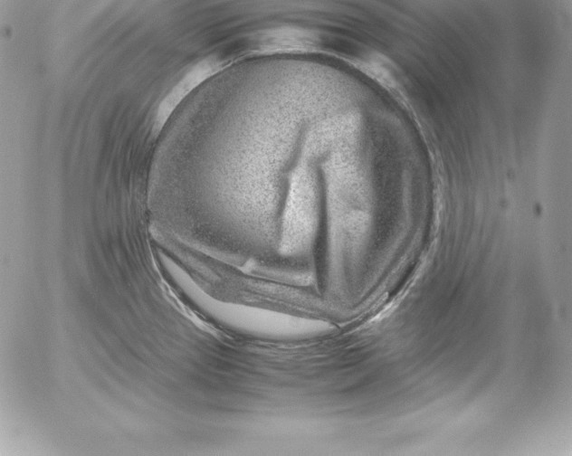 X0000054451337200508191627